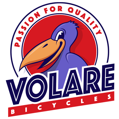 Vélo enfant Volare Cool Rider - Garçons - 16 pouces - bleu - 2 leviers de  frein - assemblé à 95