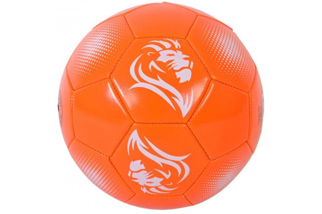 Holland Ballon de Football